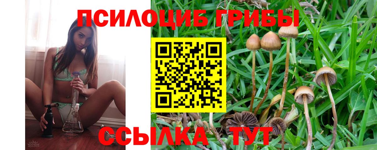 Галлюциногенные грибы мицелий  Вход с VPN  Ирбит 
